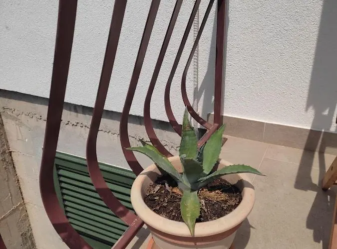 Nikola Accommodation Gasthof