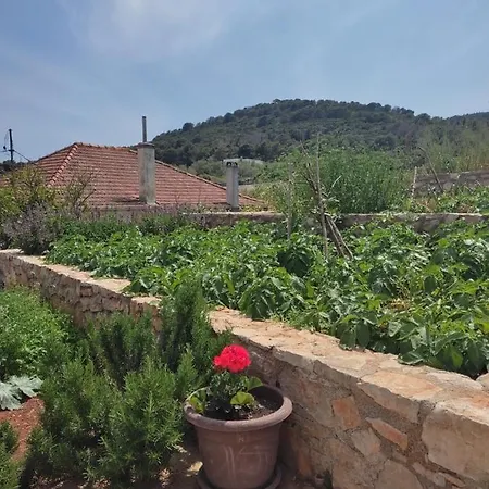 Casa de hóspedes Nikola 3*