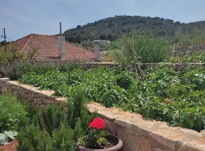 Pensión Nikola 3*