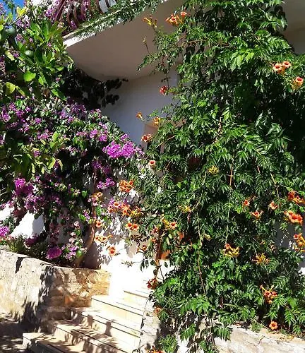 Penzion Nikola Accommodation 3*